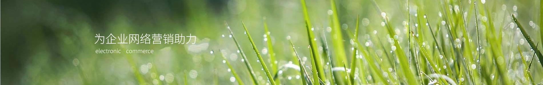 ϺͶݿƼɷ޹˾